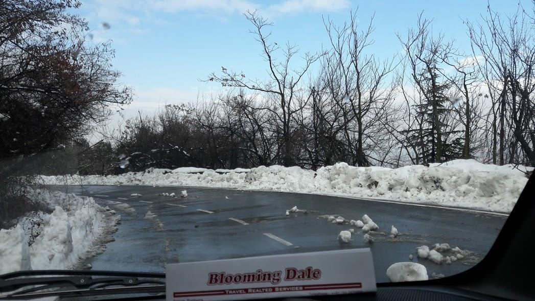Blooming Dale Hotel Srīnagar Dış mekan fotoğraf